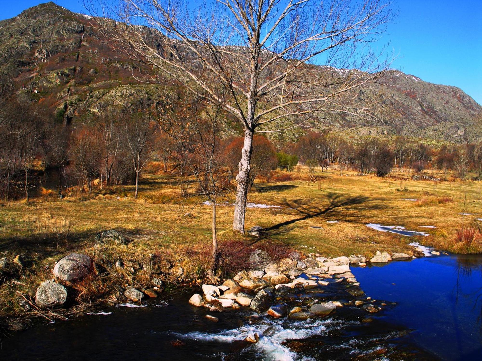 Hostal Martin - Sanabria Ribadelago ภายนอก รูปภาพ